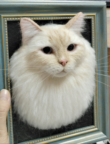 Framed Cat Portrait